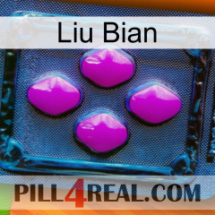 Liu Bian 04